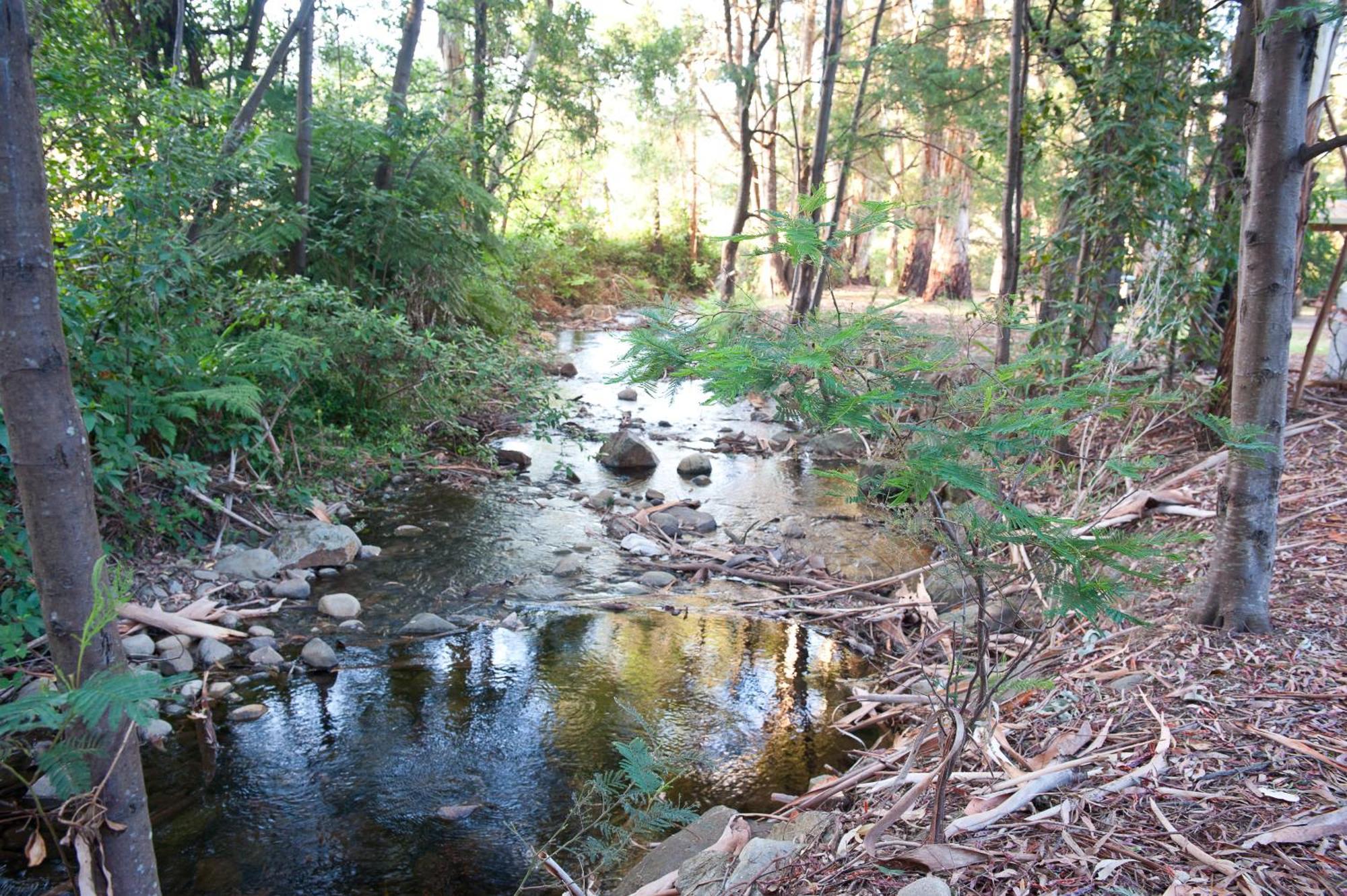 Big4 Yarra Valley Park Lane Holiday Park Healesville Esterno foto